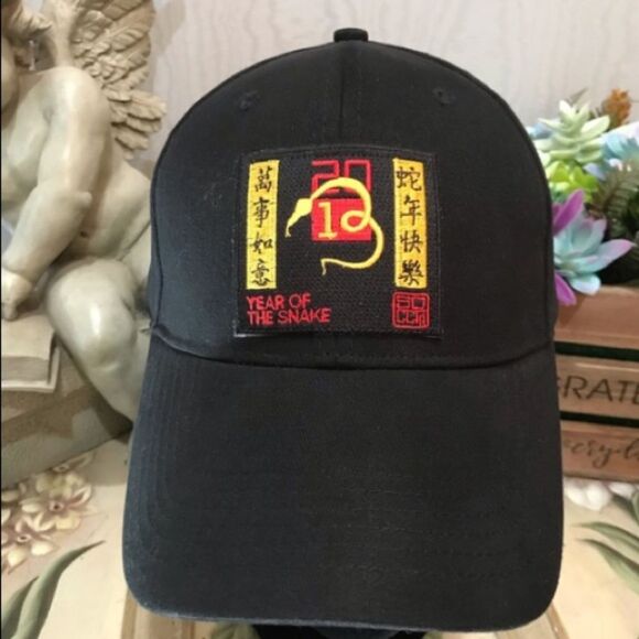 Pacific Headwear 2013 Year of the Water Snake Chinese Zodiac Cap Hat Black - Picture 14 of 14
